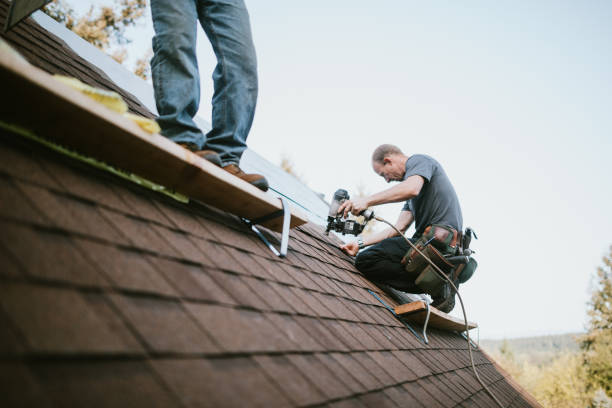 Professional Roofing Contractor in Holliday, TX